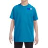 Heavy Cotton™ Youth 5.3 oz. T-Shirt Thumbnail